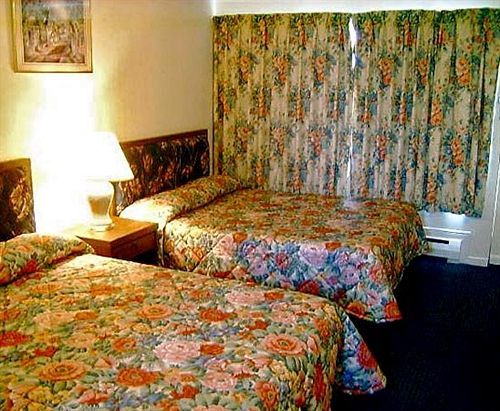 מפלי הניאגרה Arkona Motel חדר תמונה